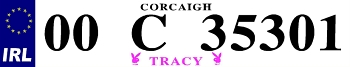 Personalised License Plate 08