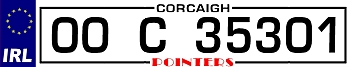 Personalised License Plate 09