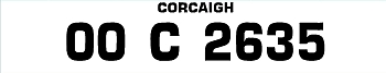 Personalised License Plate 10